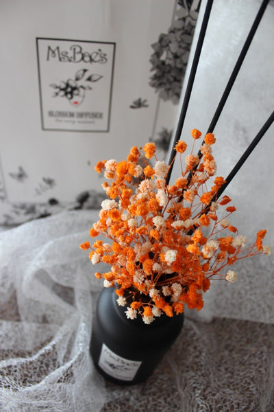 Orange Baby's Breath Diffuser Set