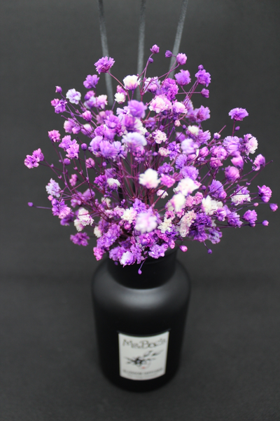 Purple Baby's Breath Diffuser Set