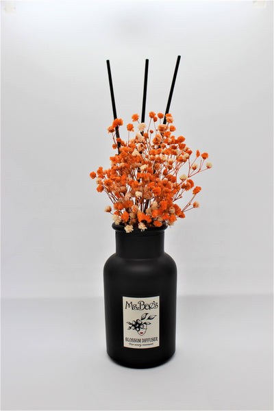 Orange Baby's Breath Diffuser Set