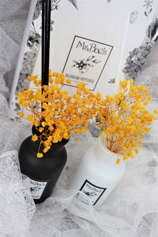 Yellow Baby's Breath Diffuser Set