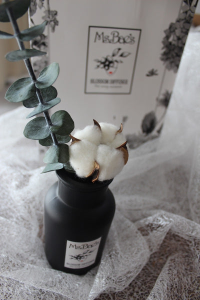 Cotton & Eucalyptus Diffuser Set