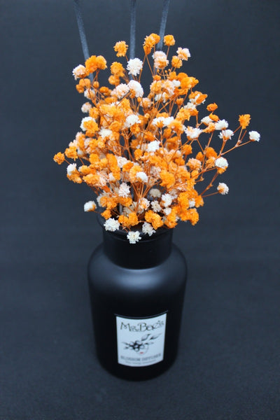 Orange Baby's Breath Diffuser Set